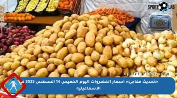 «تحديث مفاجئ» أسعار الخضروات اليوم الخميس 14 أغسطس 2025 في الإسماعيلية